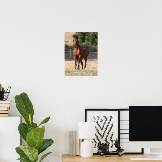 Poster Bob Langrish | Bay Arab Standing Mane Blown (Bureau à domicile)