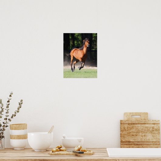 Poster Bob Langrish | Bay Tennessee Walker Running (Cuisine)