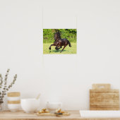 Poster Bob Langrish | Black Friesian Running (Cuisine)