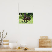 Poster Bob Langrish | Black Friesian Running (Cuisine)