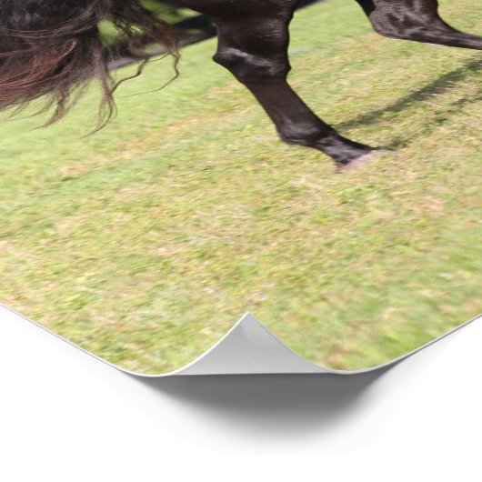 Poster Bob Langrish | Black Lusitano Running (Coin)