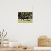 Poster Bob Langrish | Black Lusitano Running (Cuisine)