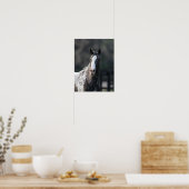 Poster Bob Langrish | Capture d'écran Appaloosa (Cuisine)
