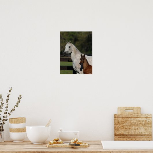 Poster Bob Langrish | Capture d'écran Arab Mare and Foot (Cuisine)