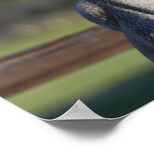 Poster Bob Langrish | Capture d'écran arabe gris (Coin)