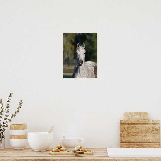 Poster Bob Langrish | Capture d'écran arabe gris (Cuisine)