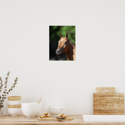 Poster Bob Langrish | Capture d'écran d'Akhal Teke (Cuisine)