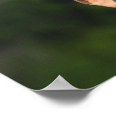 Poster Bob Langrish | Capture d'écran de Clydesdale (Coin)