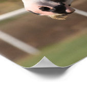 Poster Bob Langrish | Capture d'écran de la bannière tzig (Coin)