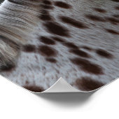 Poster Bob Langrish | Capture d'écran de Spotty Appaloosa (Coin)