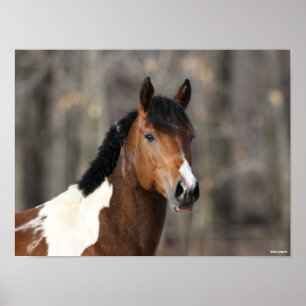 Poster Bob Langrish Capture d'écran du Cheval de peint