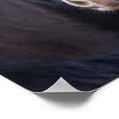 Poster Bob Langrish | Capture d'écran du cheval de Shire (Coin)