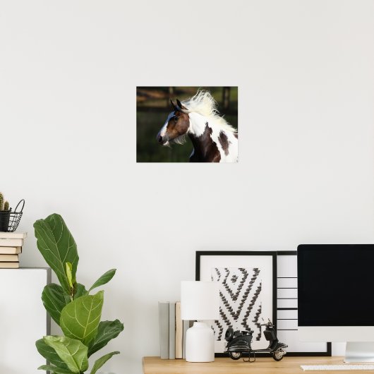 Poster Bob Langrish | Capture d'écran du Cheval du Tambou (Bureau à domicile)