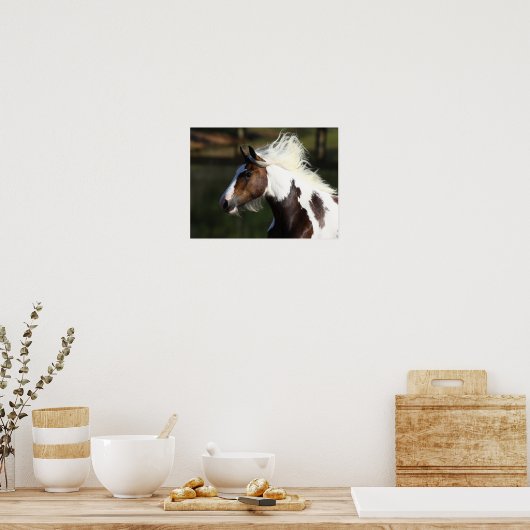 Poster Bob Langrish | Capture d'écran du Cheval du Tambou (Cuisine)