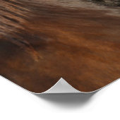 Poster Bob Langrish | Capture d'écran du cheval friésien (Coin)