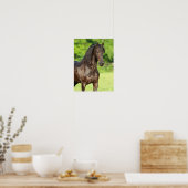 Poster Bob Langrish | Capture d'écran du cheval friésien (Cuisine)