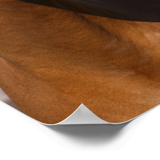 Poster Bob Langrish | Capture d'écran du Cheval sportif c (Coin)