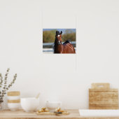 Poster Bob Langrish | Capture d'écran du Colt arabe Bay (Cuisine)