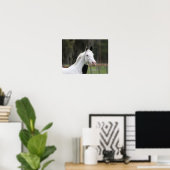 Poster Bob Langrish | Capture d'écran d'un cheval en sang (Bureau à domicile)
