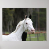 Poster Bob Langrish | Capture d'écran d'un cheval en sang (Devant)