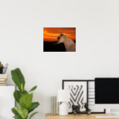 Poster Bob Langrish | Capture d'écran en arabe gris au co (Bureau à domicile)