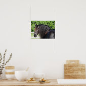 Poster Bob Langrish | Capture d'écran Friesian Horse Stan (Cuisine)