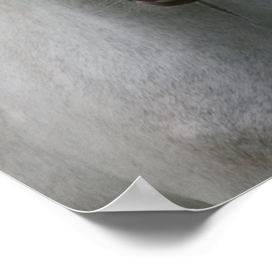 Poster Bob Langrish | Capture d'écran Gris Welsh Pony (Coin)