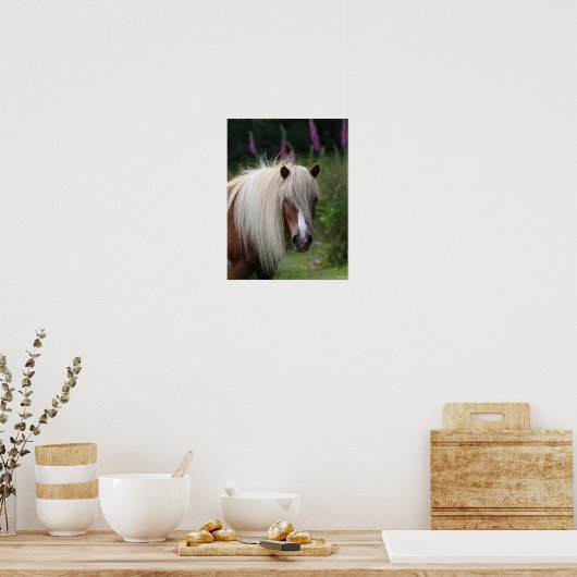 Poster Bob Langrish | Capture d'écran Shetland Pony avec  (Cuisine)