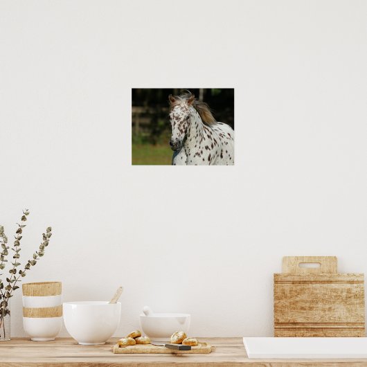 Poster Bob Langrish | Capture D'Écran Spotty Pony Of Amer (Cuisine)