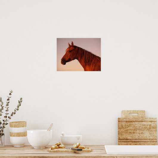 Poster Bob Langrish | Cascade de soleil pour Cheval arabe (Cuisine)