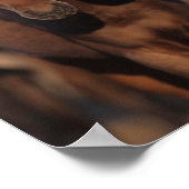 Poster Bob Langrish Caspian Pony Folies Se Regroupent (Coin)