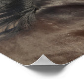 Poster Bob Langrish | Casque andalou de Mane Flow (Coin)