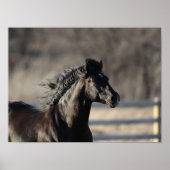 Poster Bob Langrish | Casque andalou de Mane Flow (Devant)