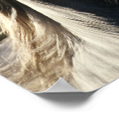 Poster Bob Langrish | Casque Andalou gris rétroéclairé (Coin)