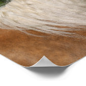 Poster Bob Langrish | Casque de Cheval Palomino Quarter (Coin)