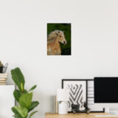 Poster Bob Langrish | Casque Palomino Haflinger (Bureau à domicile)