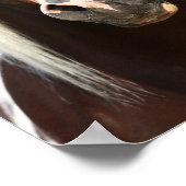 Poster Bob Langrish | Casque Stallion de peinture (Coin)