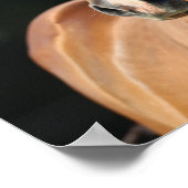 Poster Bob Langrish | Casquette Cheval Quartier Châtonnie (Coin)