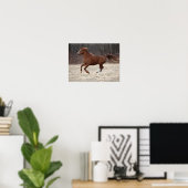 Poster Bob Langrish | Chestnut Hackney Pony Running (Bureau à domicile)