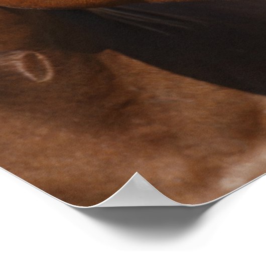 Poster Bob Langrish Chestnut Quarter Cheval Mare Headshot (Coin)