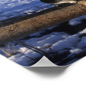 Poster Bob Langrish | Cheval et chat dans la neige (Coin)