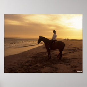 Poster Bob Langrish   Cheval et Rider sur la plage au cou