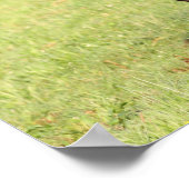 Poster Bob Langrish | Cheval friésien Noir Courir (Coin)