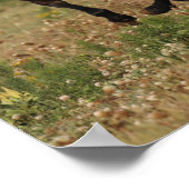 Poster Bob Langrish | Cheval Quart Courant En Fleurs (Coin)