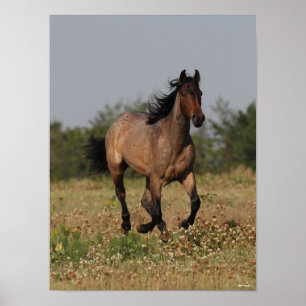 Poster Bob Langrish Cheval Quart Courant En Fleurs