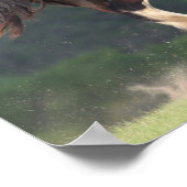 Poster Bob Langrish | Chevaux de la voie ferrée (Coin)