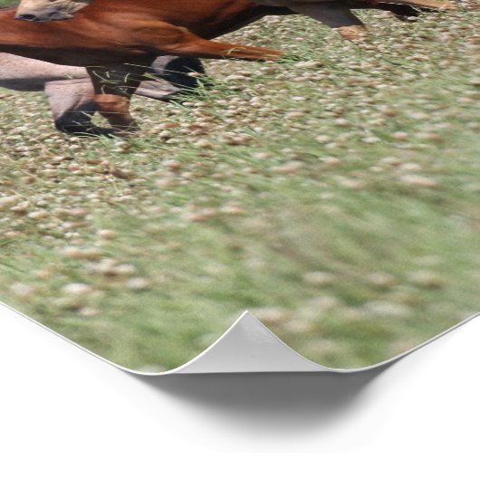 Poster Bob Langrish | Chevaux du quartier des troupeaux m (Coin)