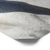 Poster Bob Langrish | Cristal de Mare et Foie de sang cha (Coin)