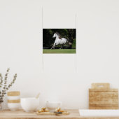 Poster Bob Langrish | Dapple Grey Andalucian Running (Cuisine)