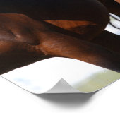 Poster Bob Langrish | Debout arabe de jument et de poulai (Coin)